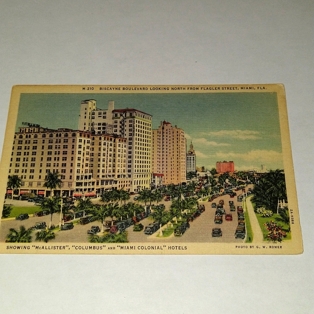 Well kept postcard colorful depicting Biscayne boulevard Miami Florida